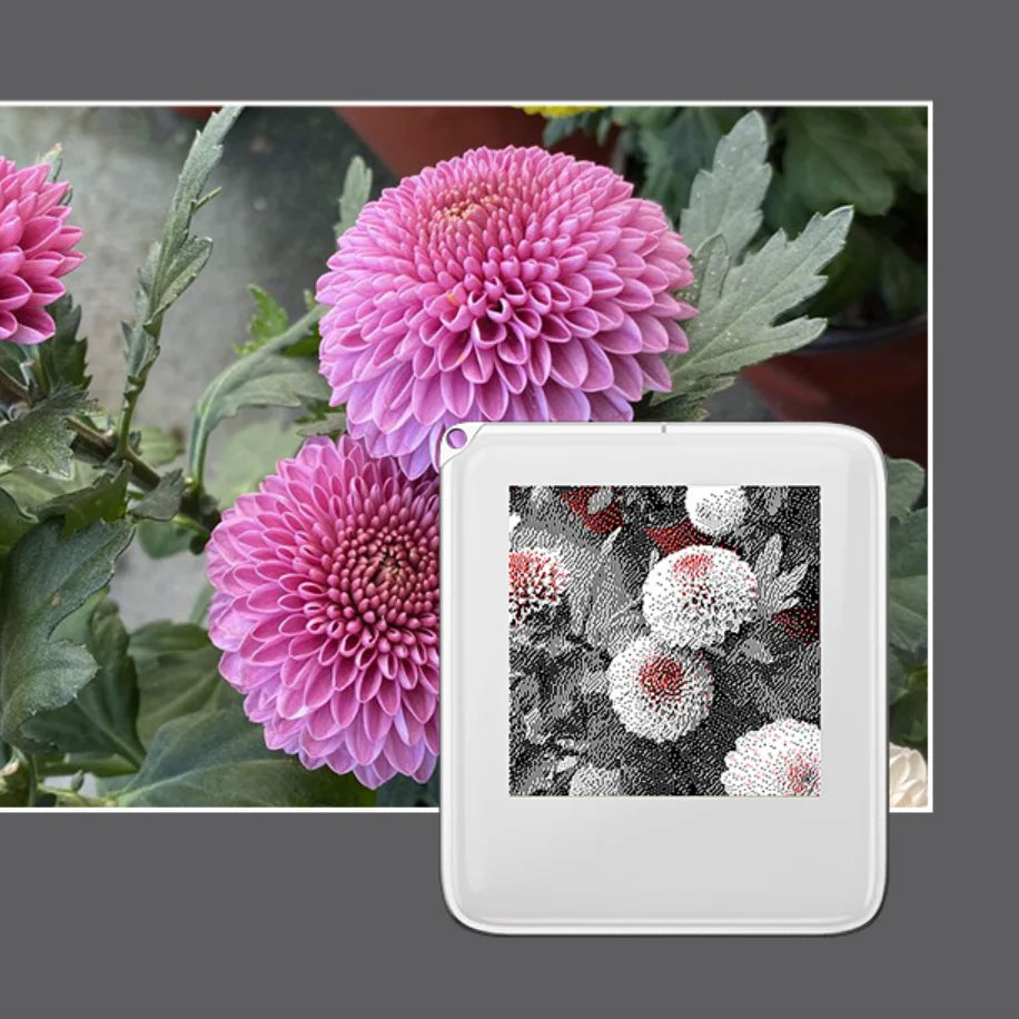 Personalized E-Ink Photo Keychain